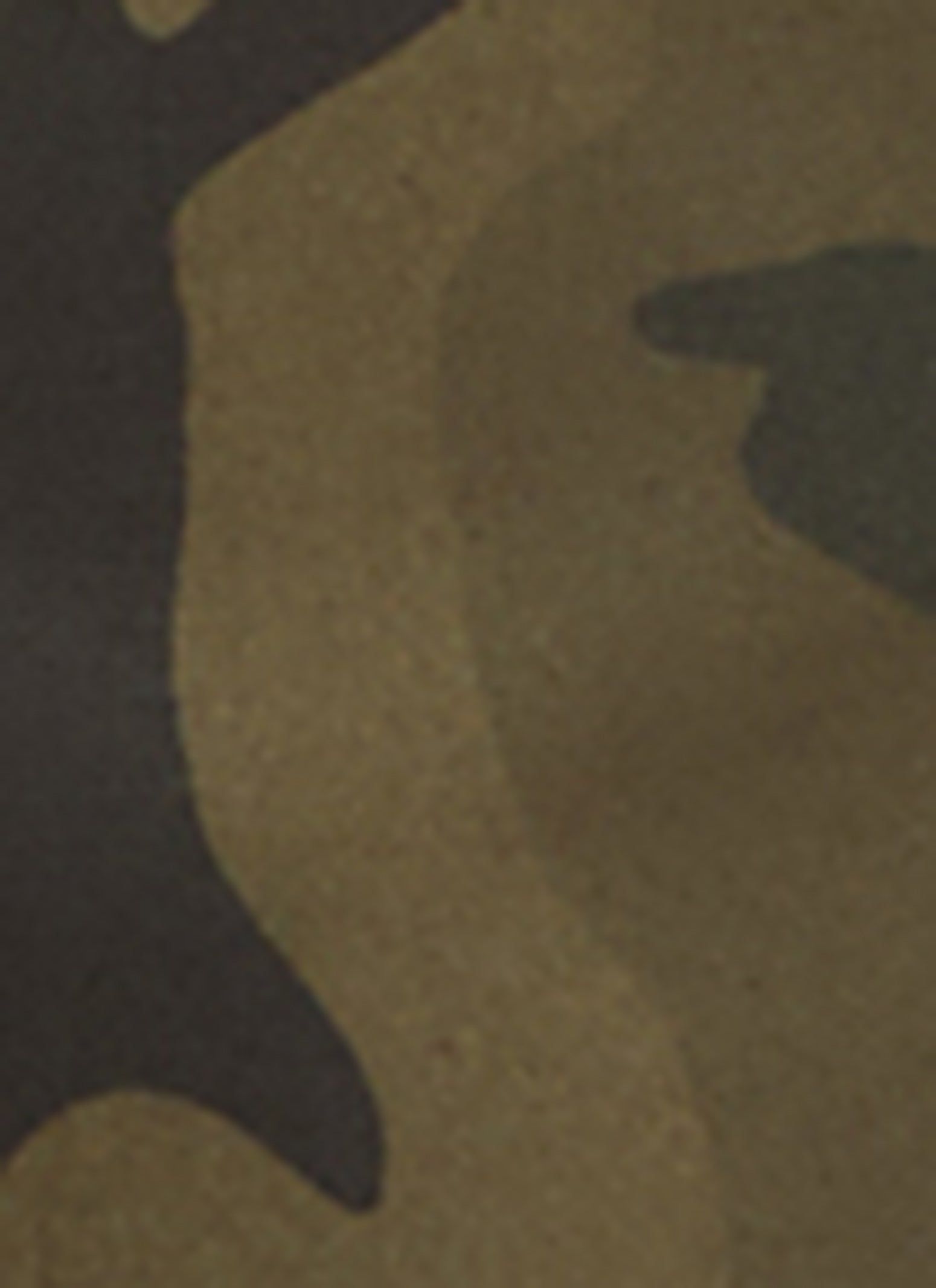 Twill Camo Wide Leg Cargo Pants sold by Rainbow product image thumbnail 4