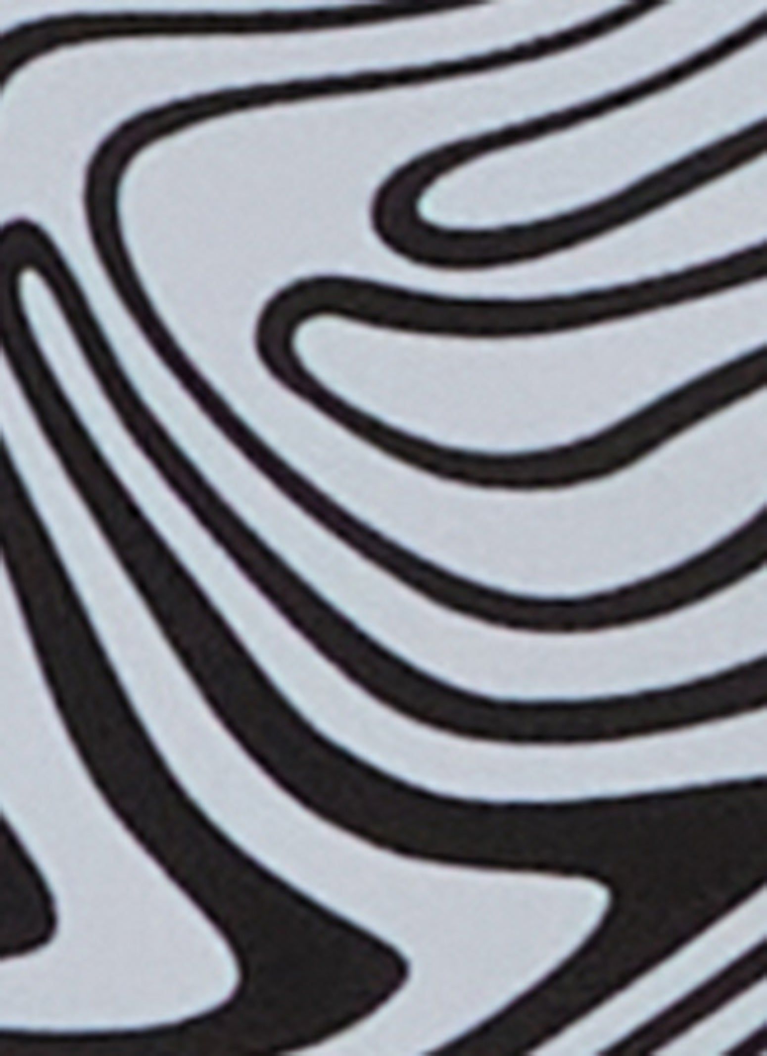 Zebra Swirl Print Ruffled Bikini Bottoms sold by Rainbow product image thumbnail 3