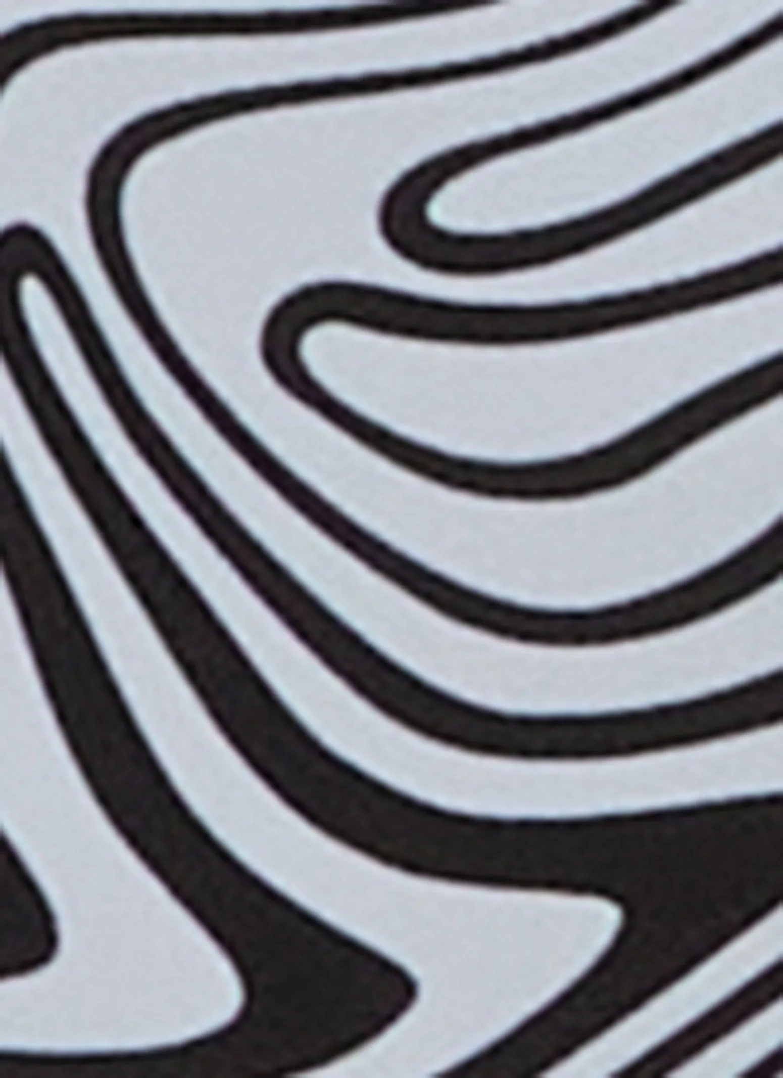 Zebra Swirl Print Ruffled Swim Bikini Bottoms sold by Rainbow product image thumbnail 3