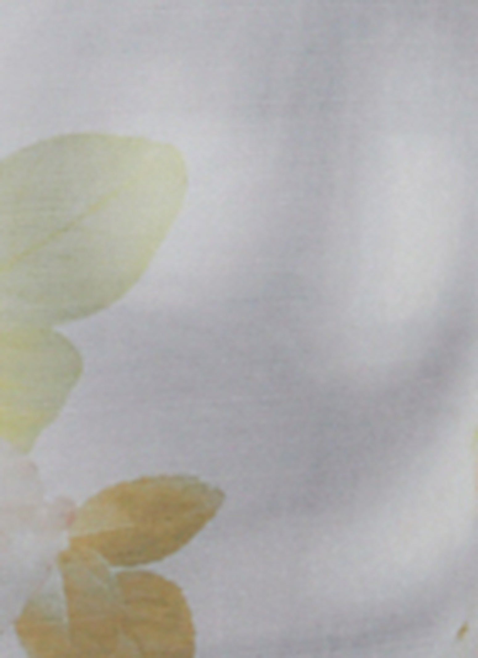 Mesh Printed Short Sleeve Midi Dress sold by Rainbow product image thumbnail 4