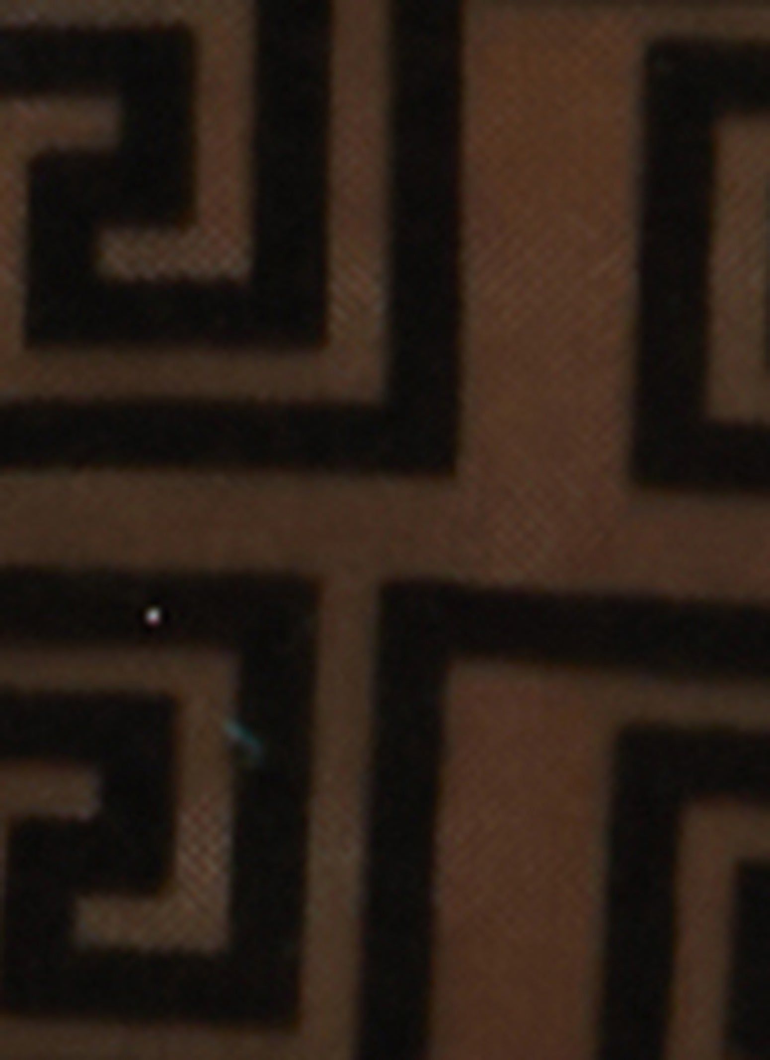 Geometric Print Mesh Long Sleeve Crop Top sold by Rainbow product image thumbnail 3