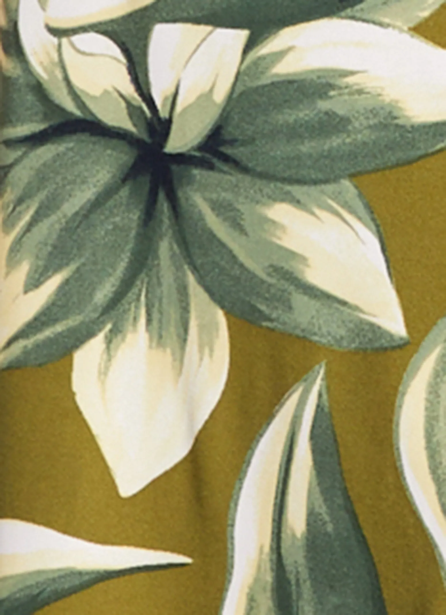 Plus Size Floral Print Tie Waist Belted Shirt Dress sold by Rainbow product image thumbnail 4