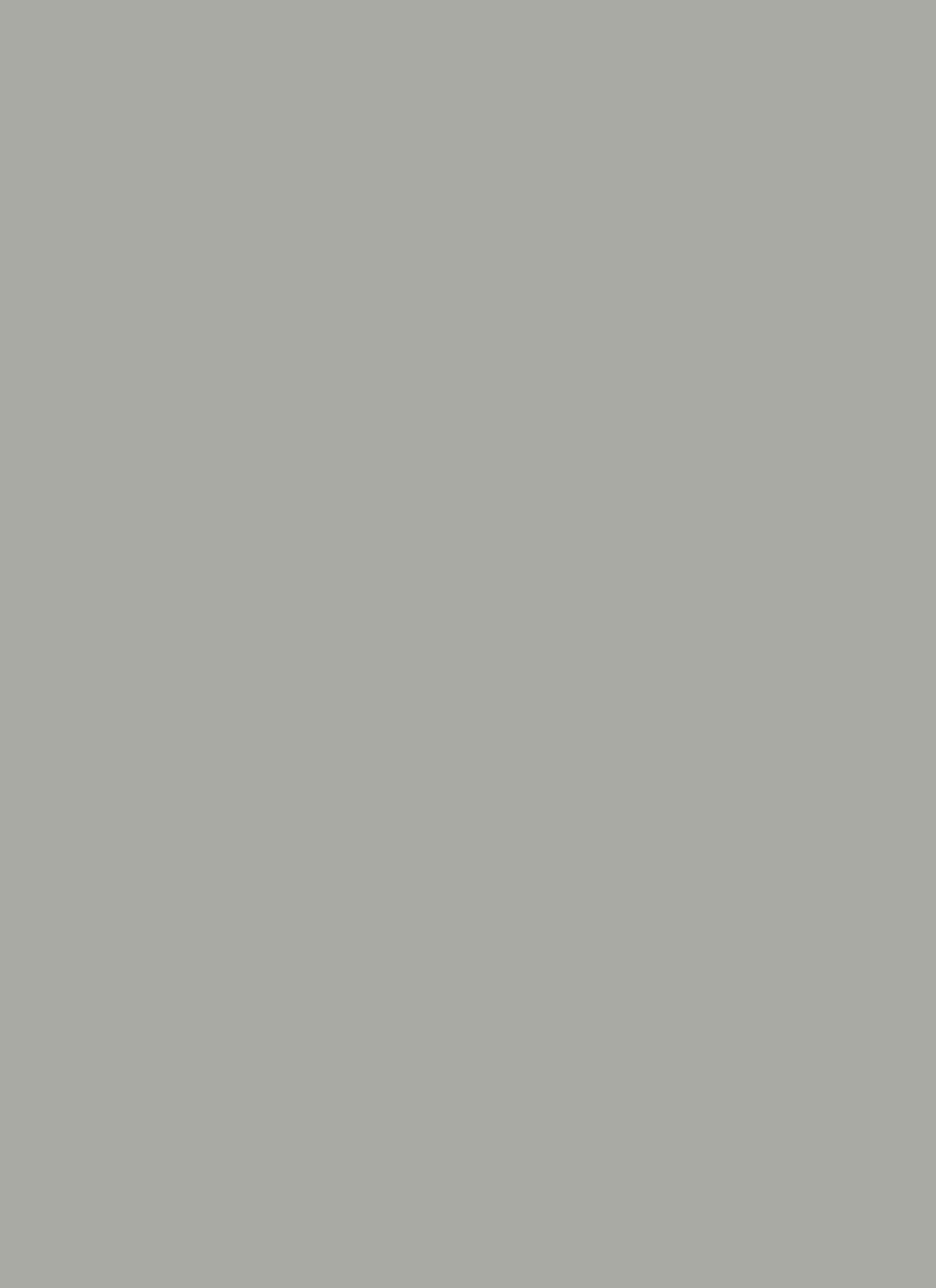 Nashville Boxy Crop Graphic Tee sold by Rainbow product image thumbnail 4
