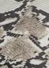 Snake Print O Ring Cut Out Halter Jumpsuit sold by Rainbow