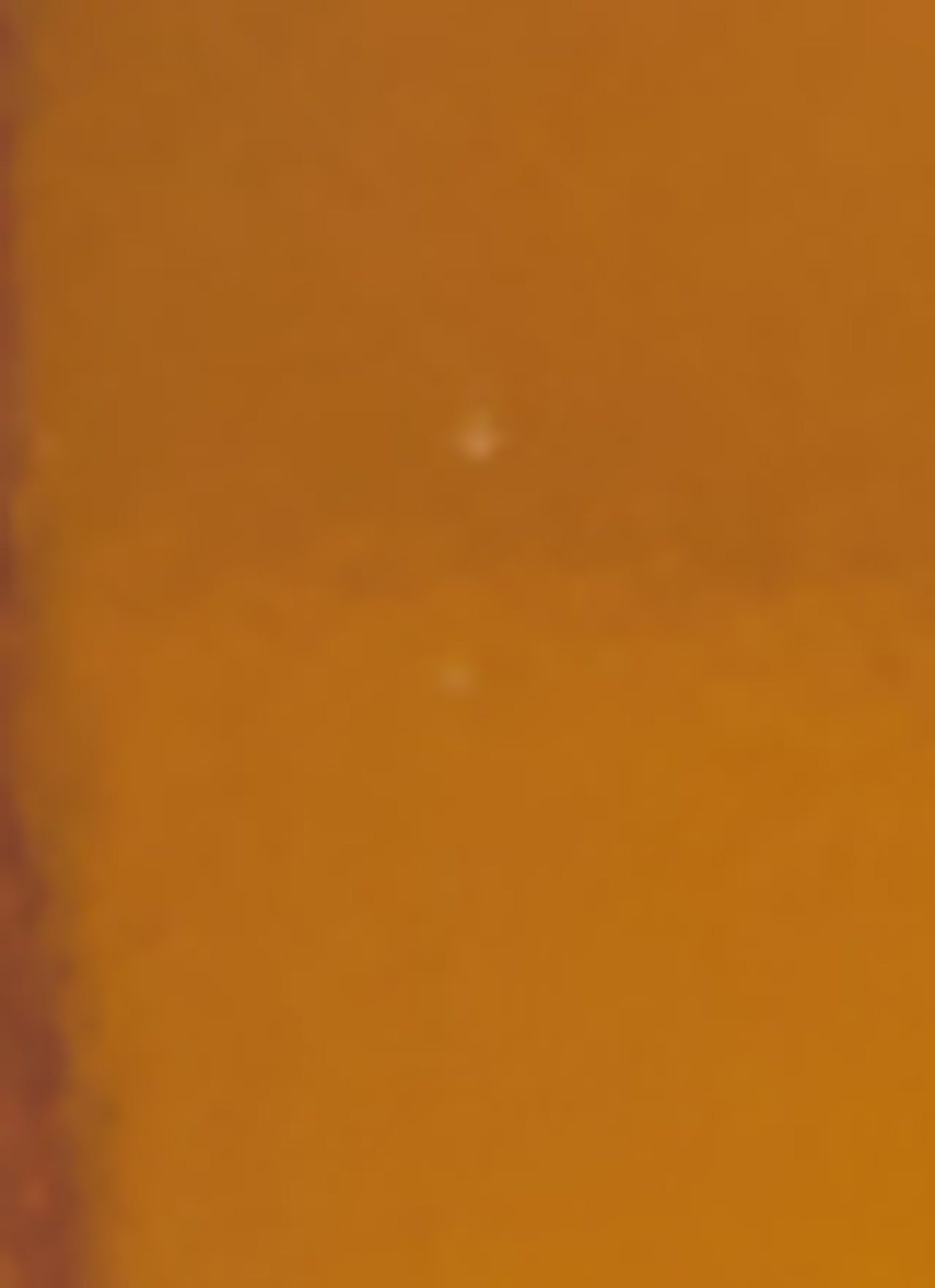 Dolcetto One and Only Cologne sold by Rainbow product image thumbnail 4