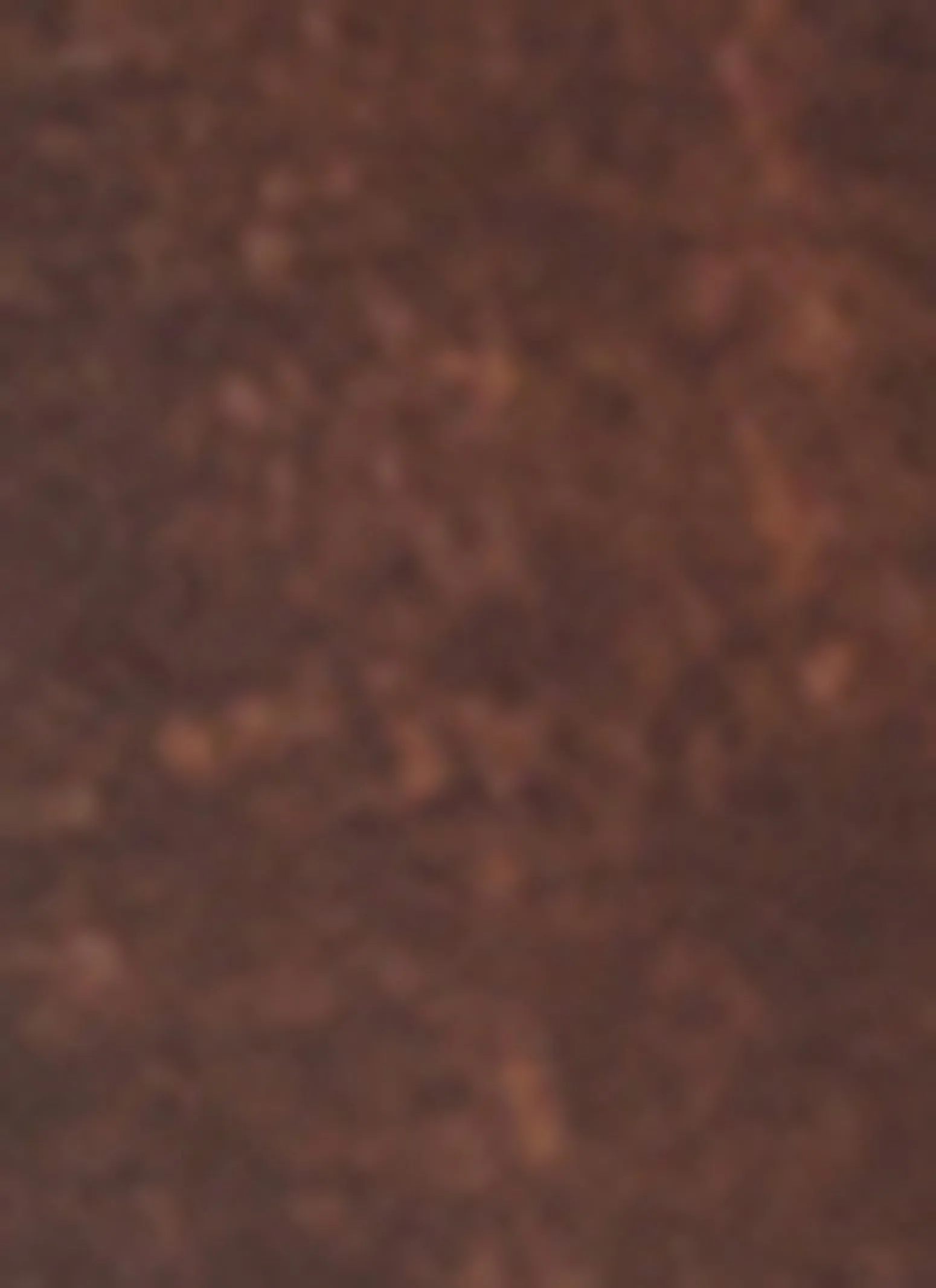 Wood Beaded Layered Necklace and Drop Earrings sold by Rainbow product image thumbnail 3