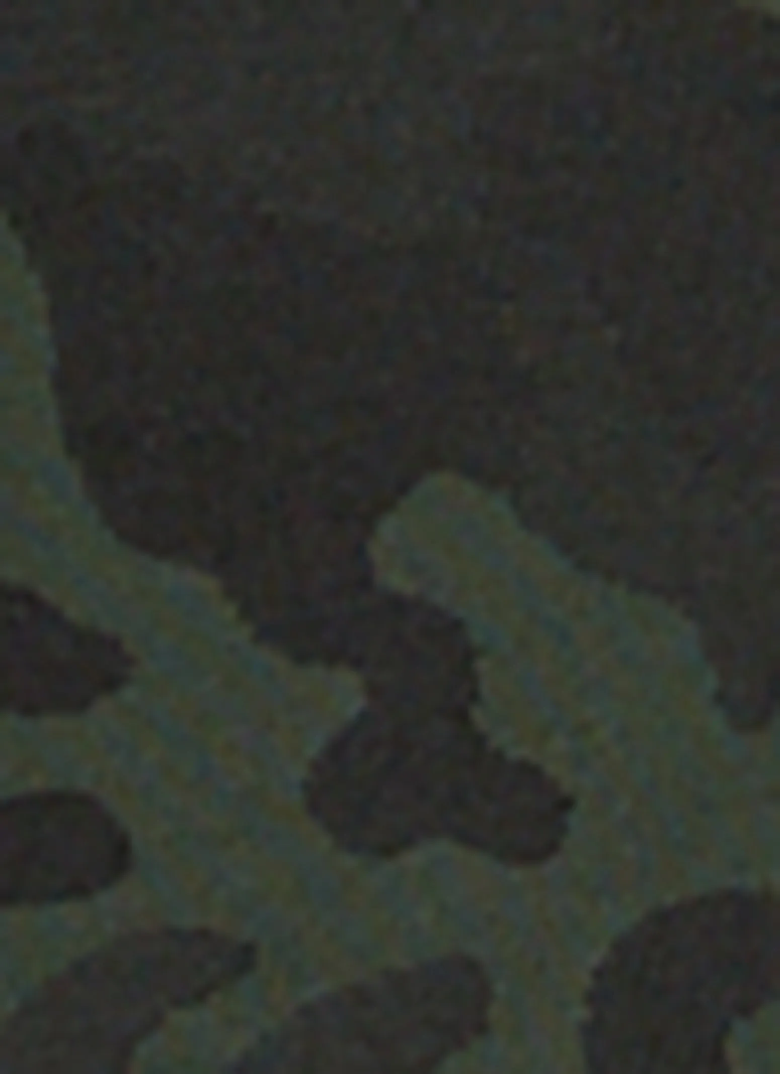 Plus Size Greek Key Seamless Fleece Lined Leggings sold by Rainbow product image thumbnail 4