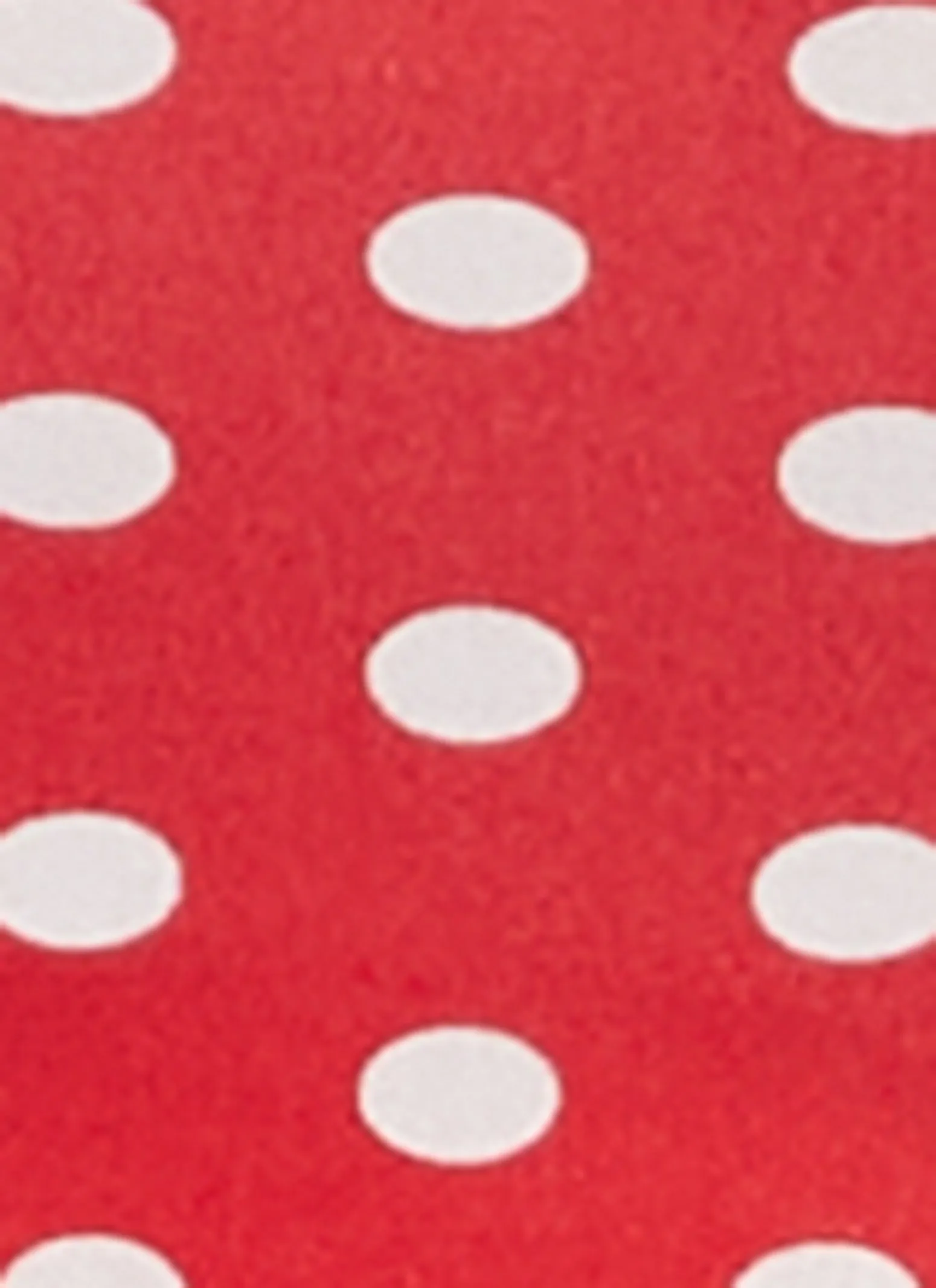 Polka Dot Cropped Tee sold by Rainbow product image thumbnail 4