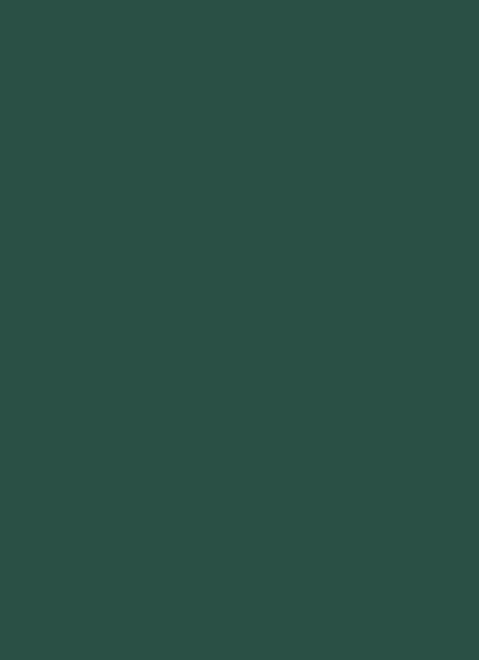 Plus Size 3 Button Hyperstretch Skinny Pants sold by Rainbow product image thumbnail 3