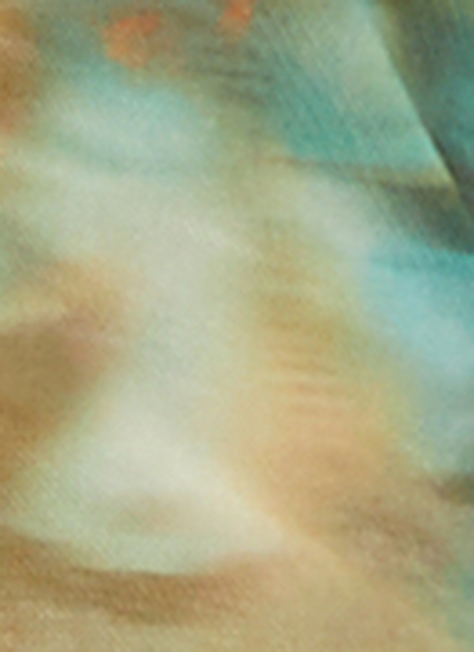 Mesh Printed Short Sleeve Top sold by Rainbow product image thumbnail 3