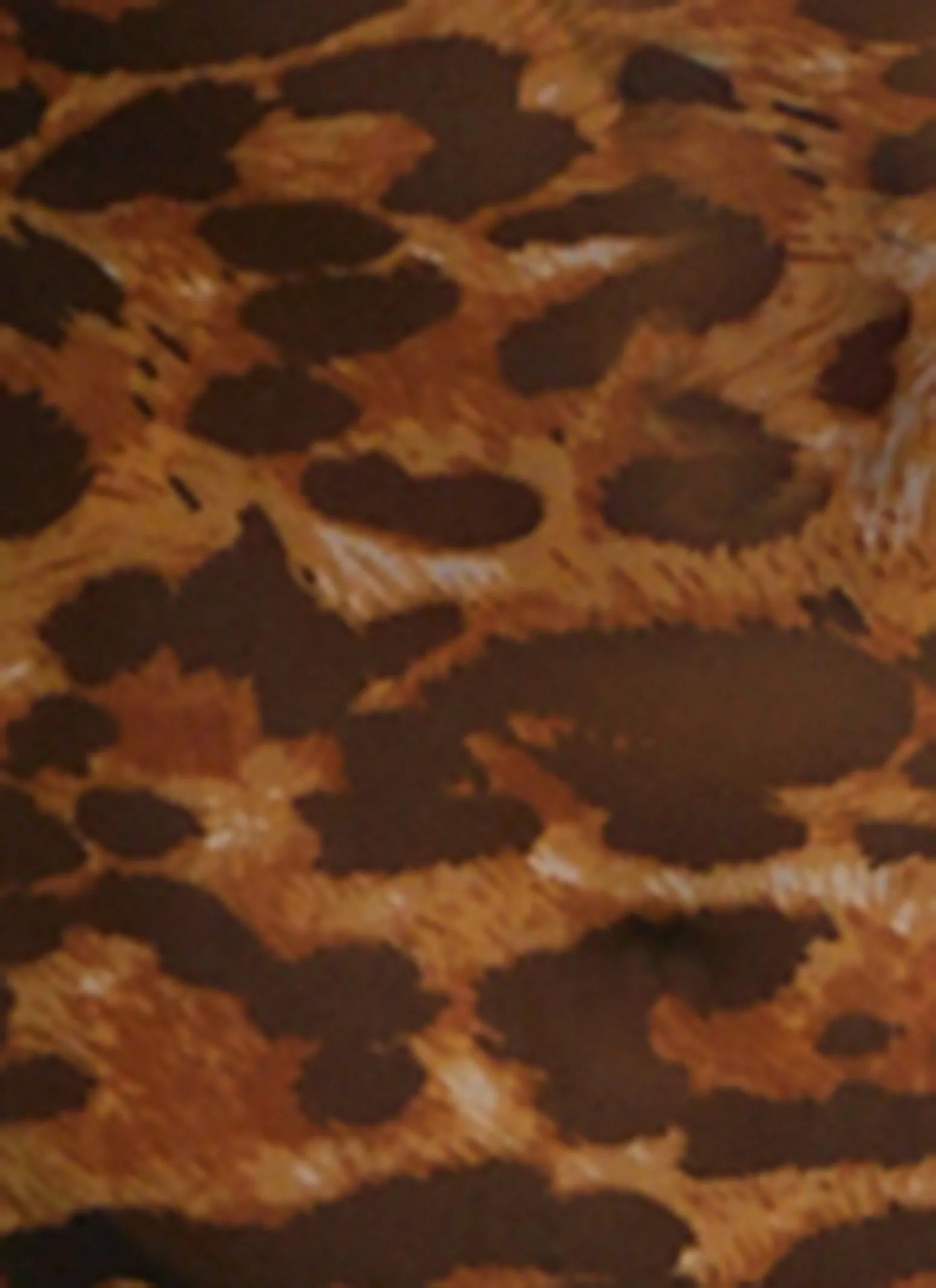 Animal Print Mesh Long Sleeve Maxi Dress sold by Rainbow product image thumbnail 4