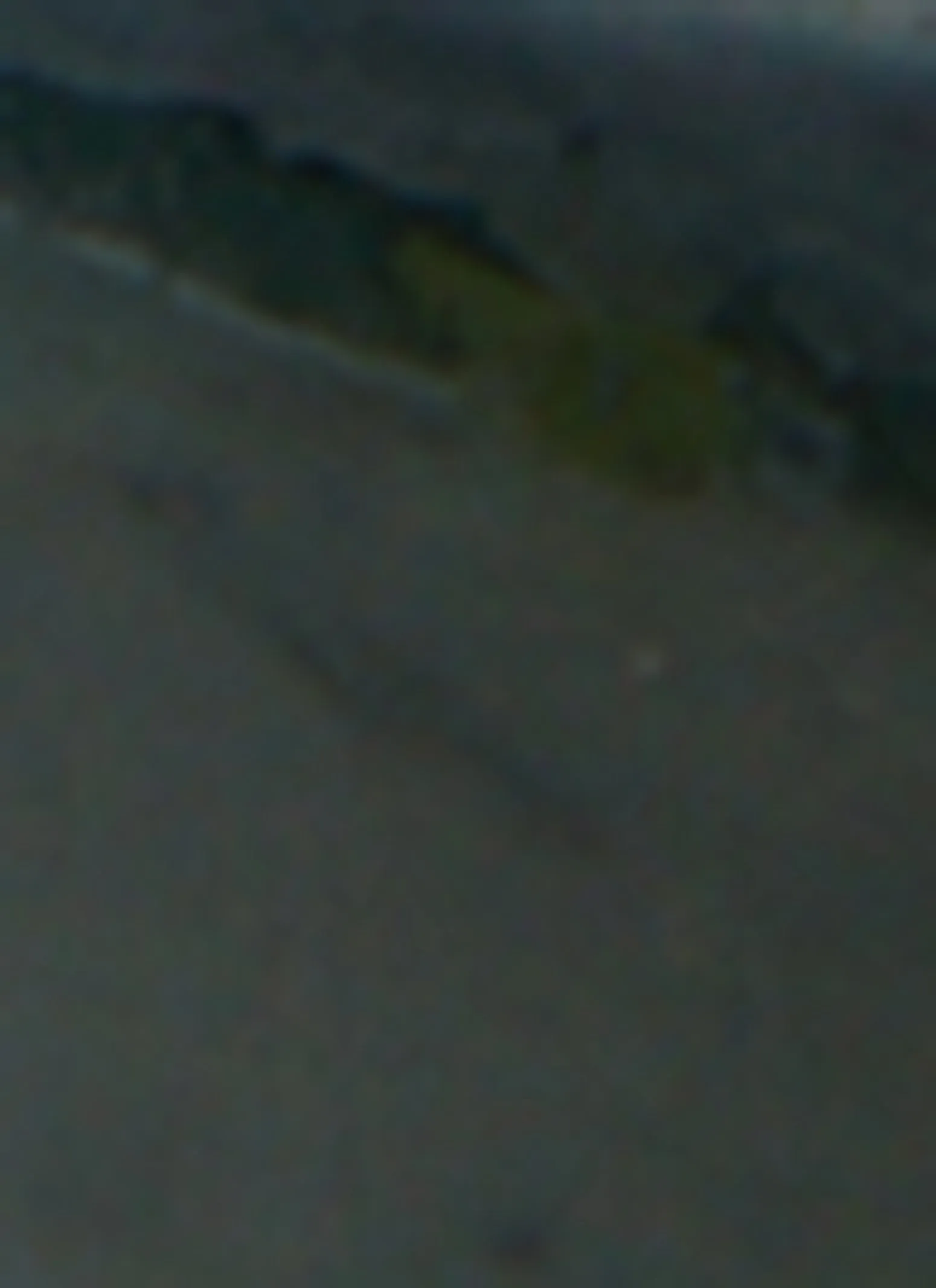 Boulevard Aqua Cologne sold by Rainbow product image thumbnail 4