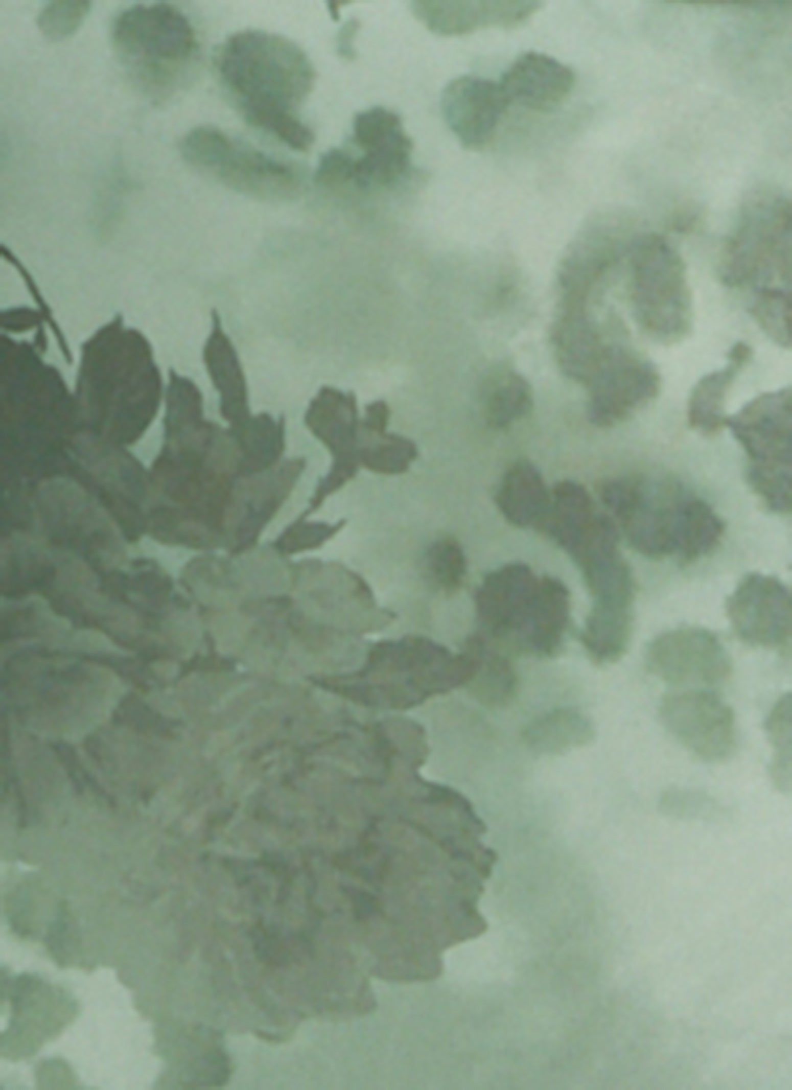 Mesh Printed Short Sleeve Midi Dress sold by Rainbow product image thumbnail 4