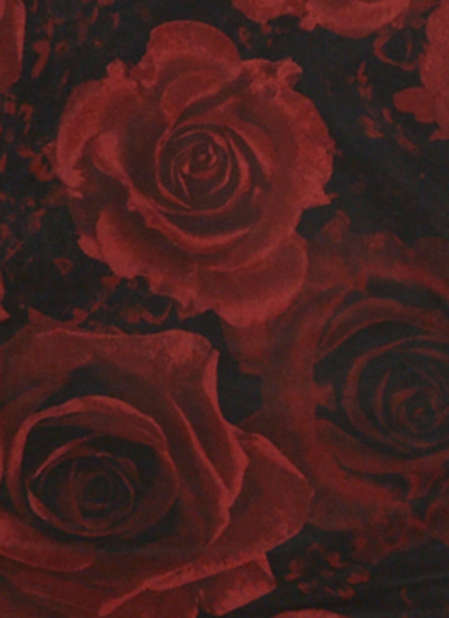 Plus Size Mesh Floral Midi Dress sold by Rainbow product image thumbnail 4