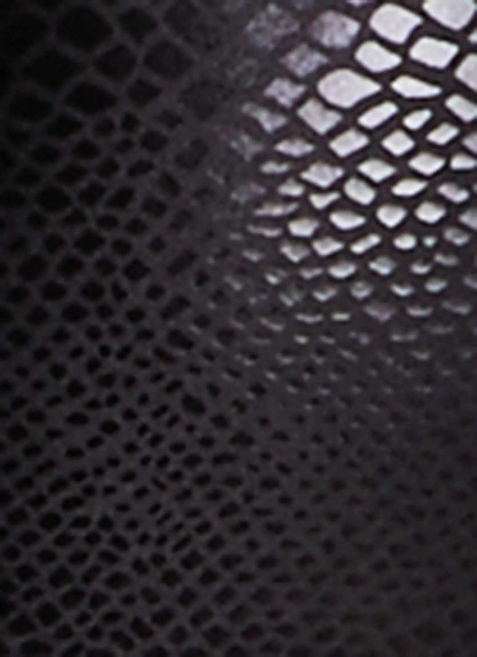 Plus Size Faux Leather Snake Print Bustier Top sold by Rainbow product image thumbnail 4