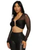 Mesh Metallic Plunge Detail Crop Top sold by Rainbow