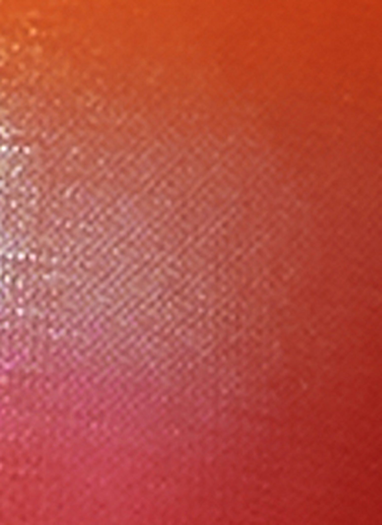 Metallic Printed Halter Bikini Top sold by Rainbow product image thumbnail 4