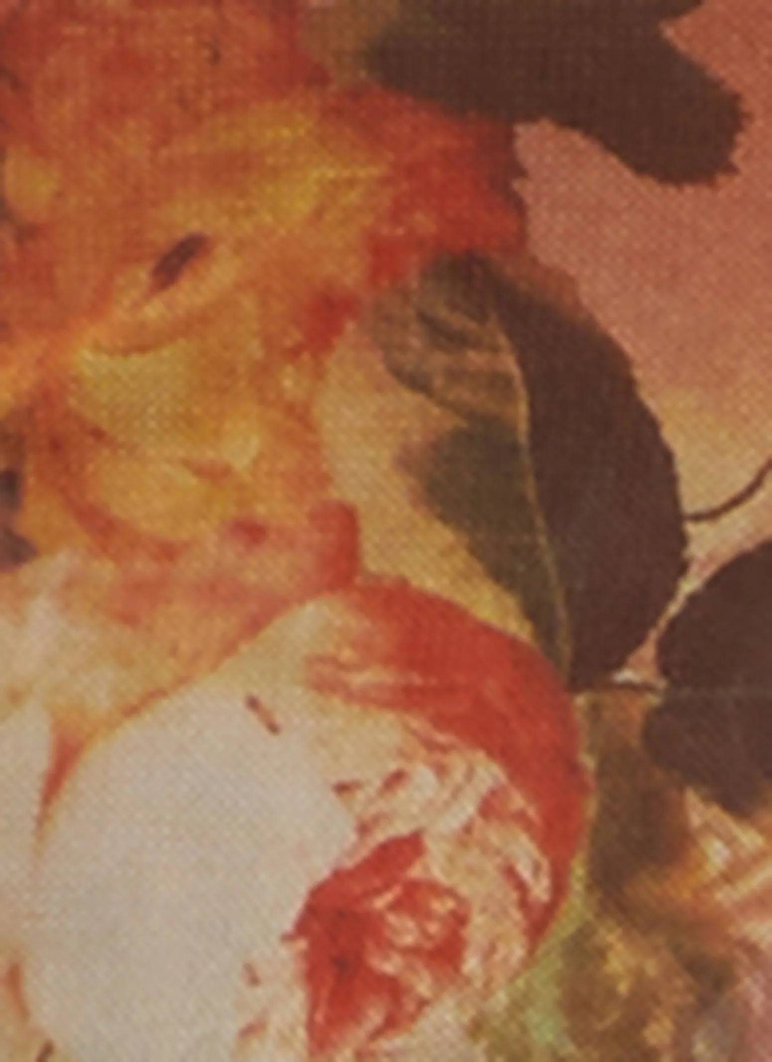 Plus Size Mesh Printed Long Sleeve Top sold by Rainbow product image thumbnail 3