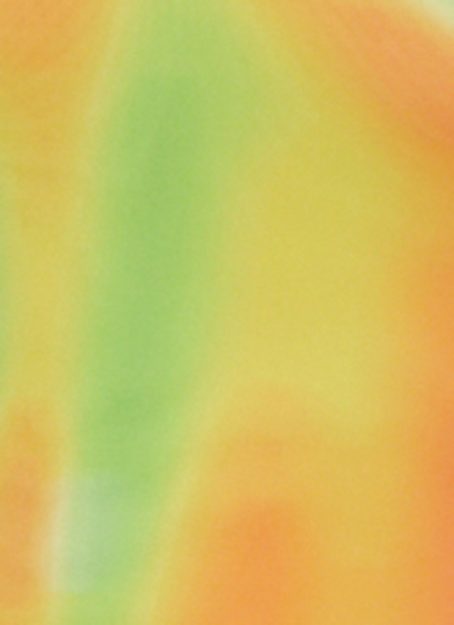 Mesh Printed Long Sleeve Maxi Dress sold by Rainbow product image thumbnail 4