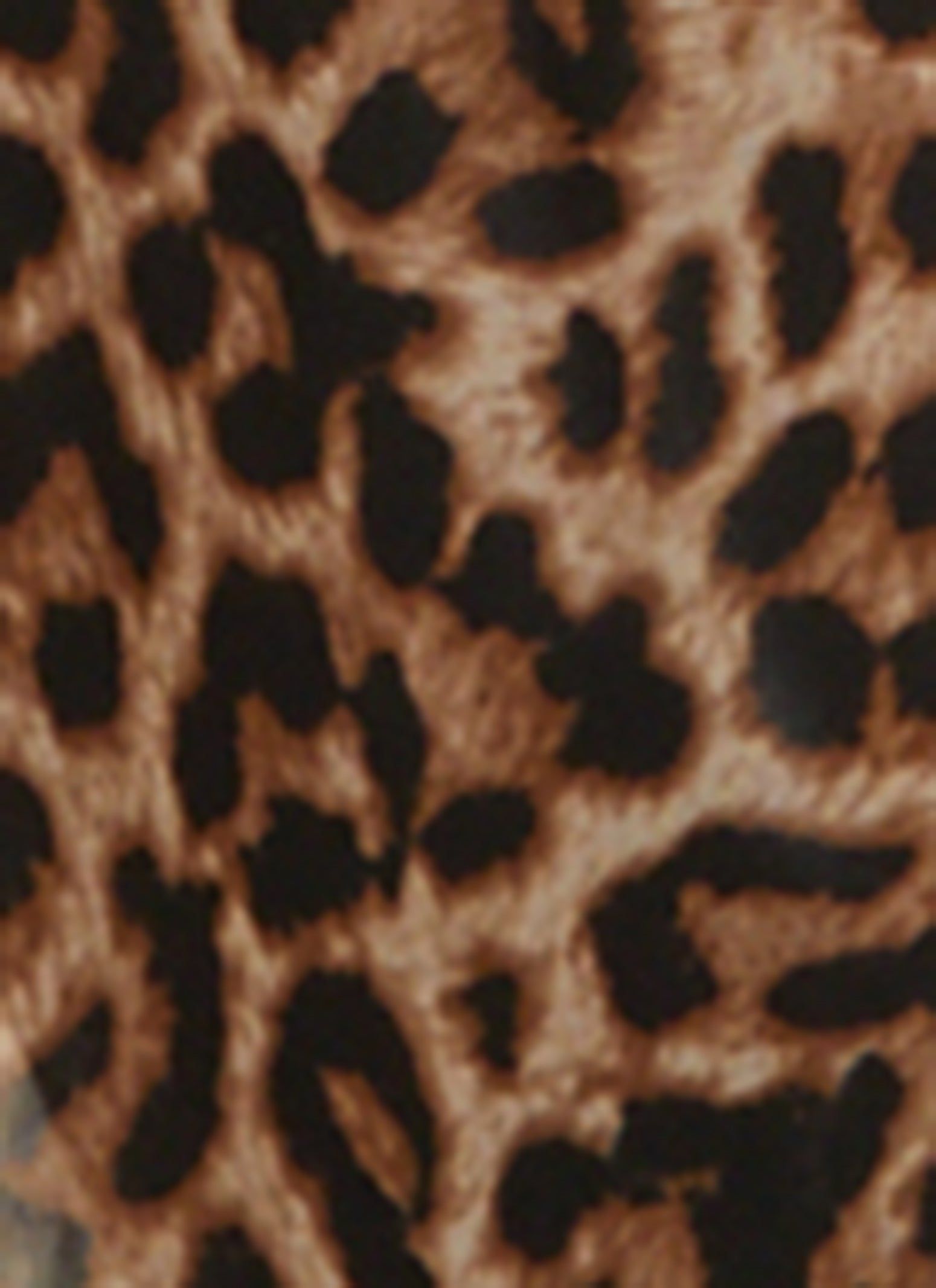 Mesh Animal Print Duster sold by Rainbow product image thumbnail 3