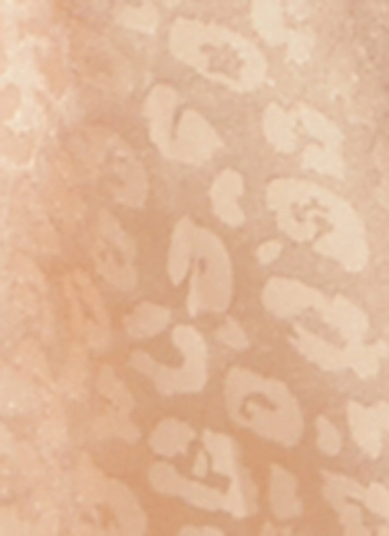 Plus Size Satin Animal Print Nightgown with Robe sold by Rainbow product image thumbnail 4