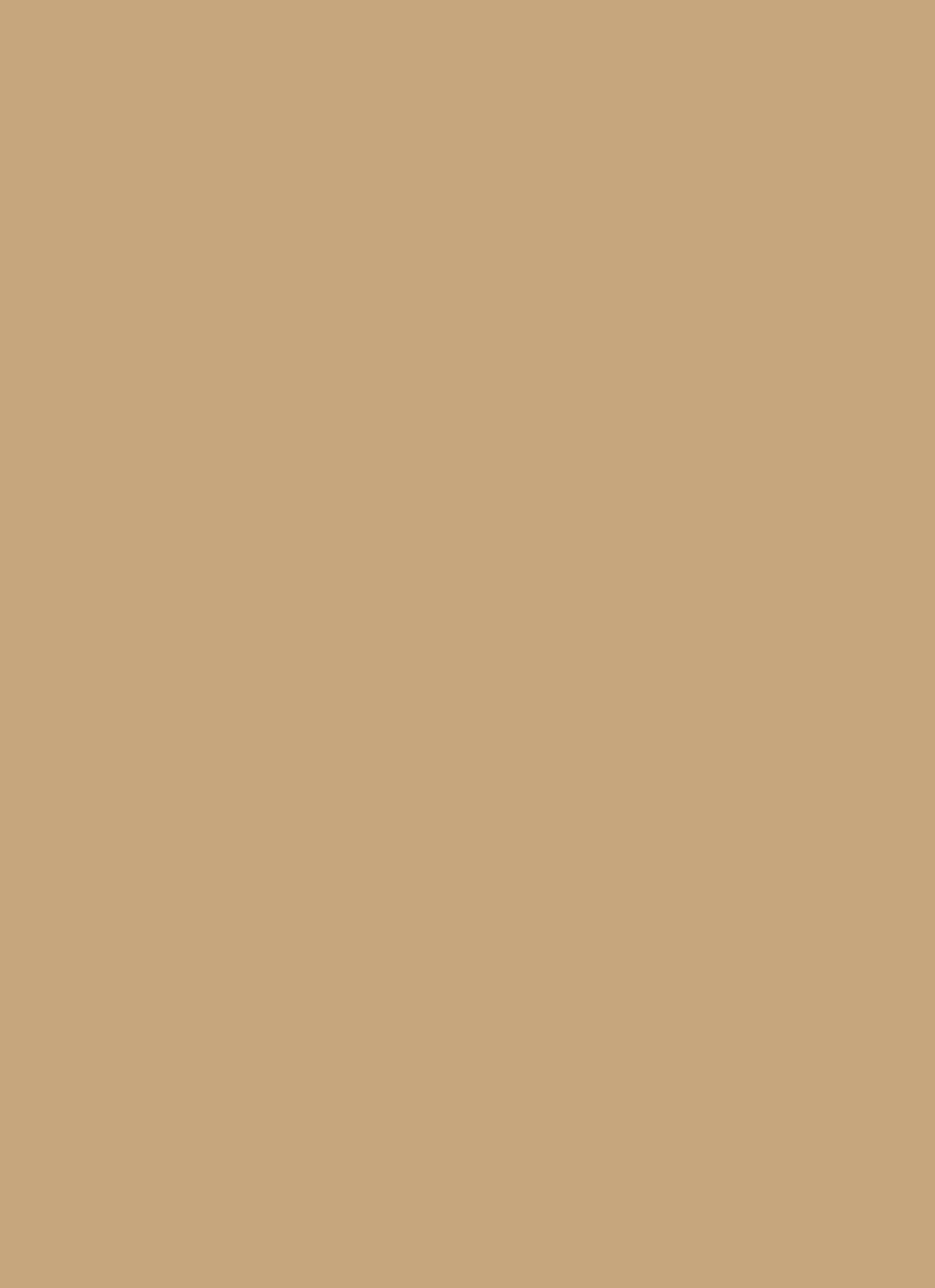 Faux Suede Cargo Pocket Maxi Skirt sold by Rainbow product image thumbnail 4