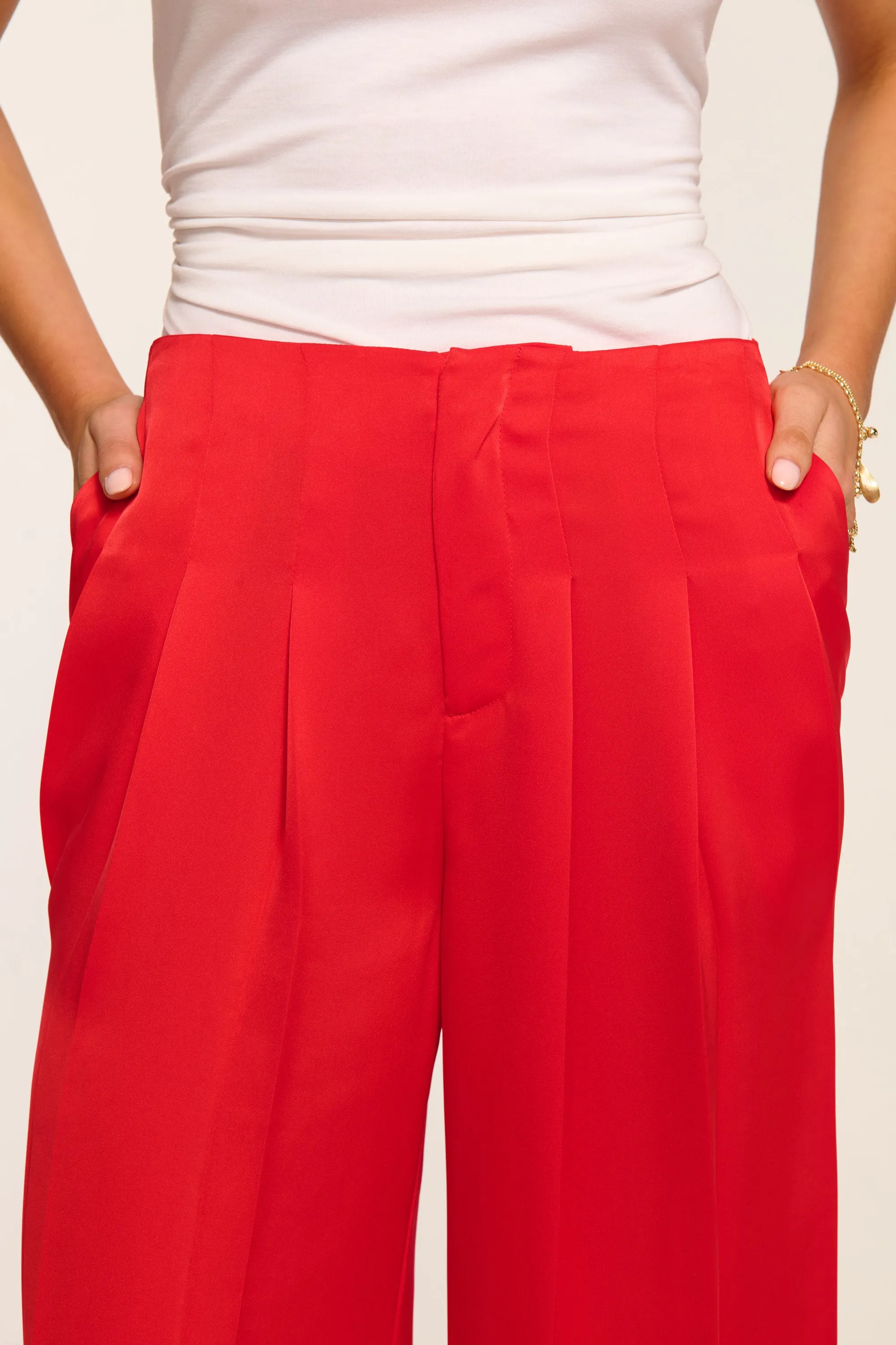 Yvette Pleated Wide Leg Pant sold by Ramy Brook product image thumbnail 3