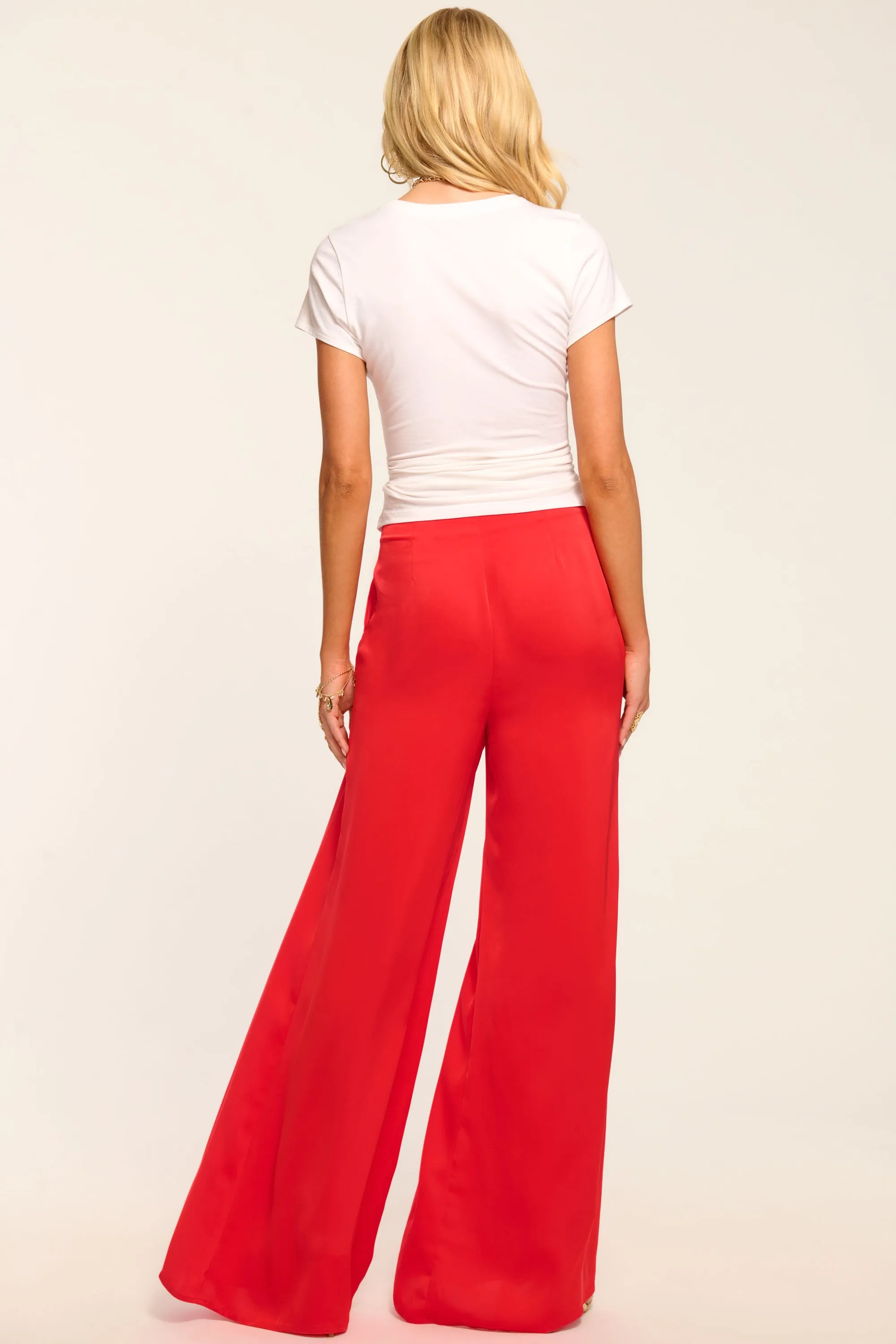 Yvette Pleated Wide Leg Pant sold by Ramy Brook product image thumbnail 4