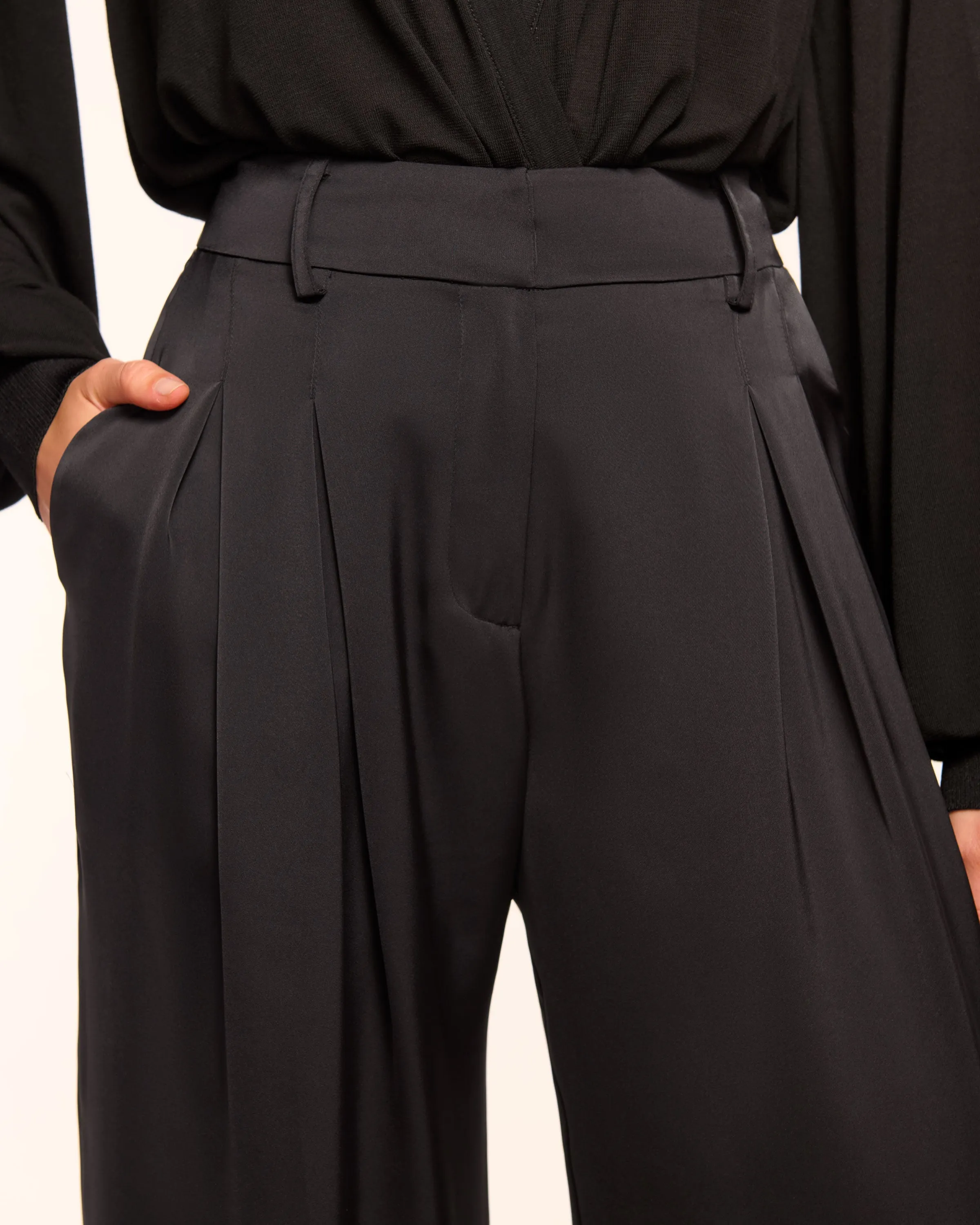 Oscar Pleated Wide Leg Pant sold by Ramy Brook product image thumbnail 3