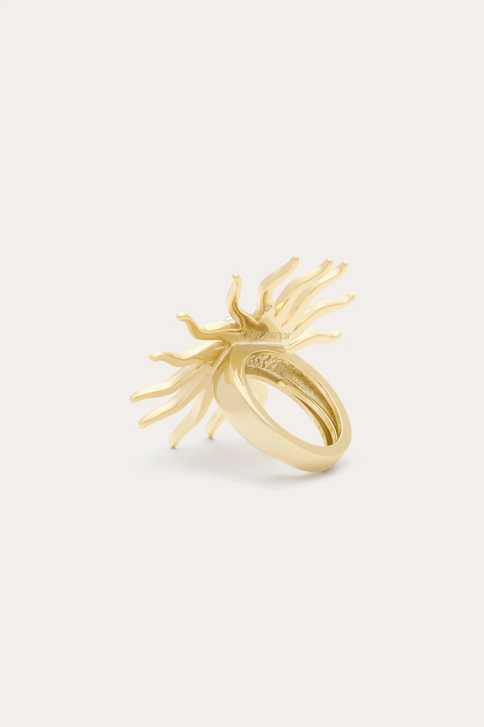Serra Pave Sunburst Ring sold by Ramy Brook product image thumbnail 4