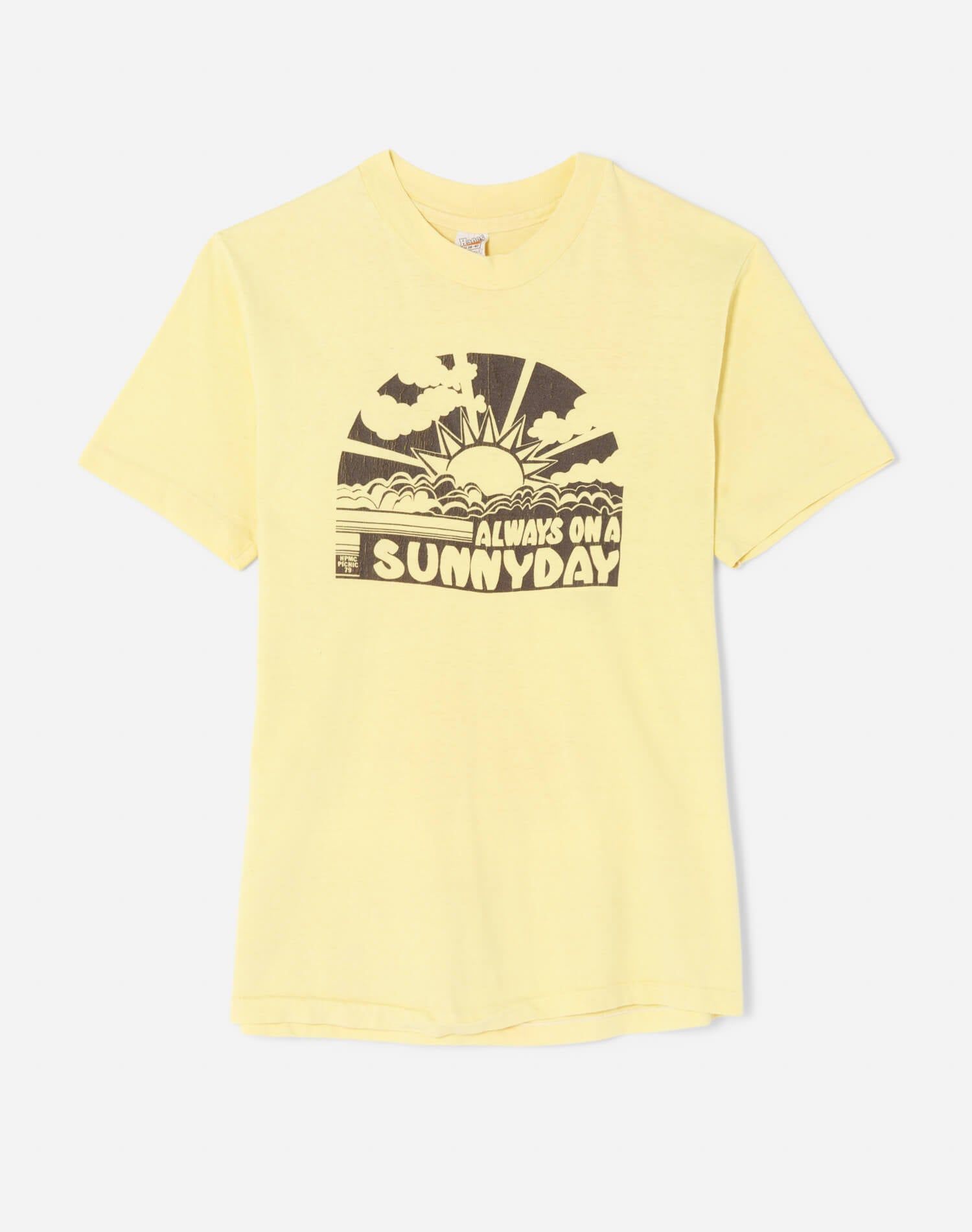 80s Hanes Sunny Day Picnic Tee -#20 sold by Re/Done