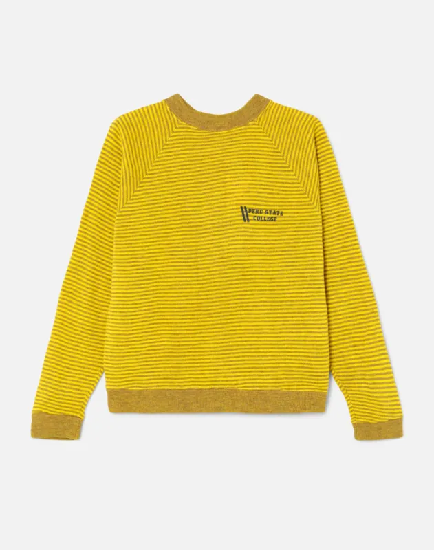 60s Champion Striped Sweatshirt - #32 made by Re/Done