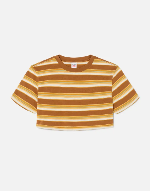 Cropped Stripe Loose Tee - Brown Multi Stripe sold by Re/Done