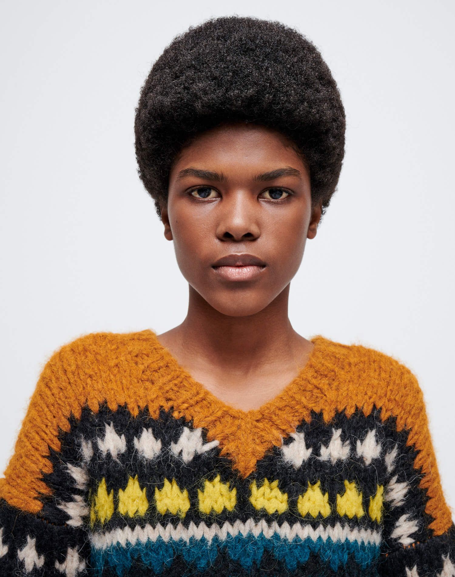 50s V Neck Pullover - Tobacco Multi sold by Re/Done product image thumbnail 5