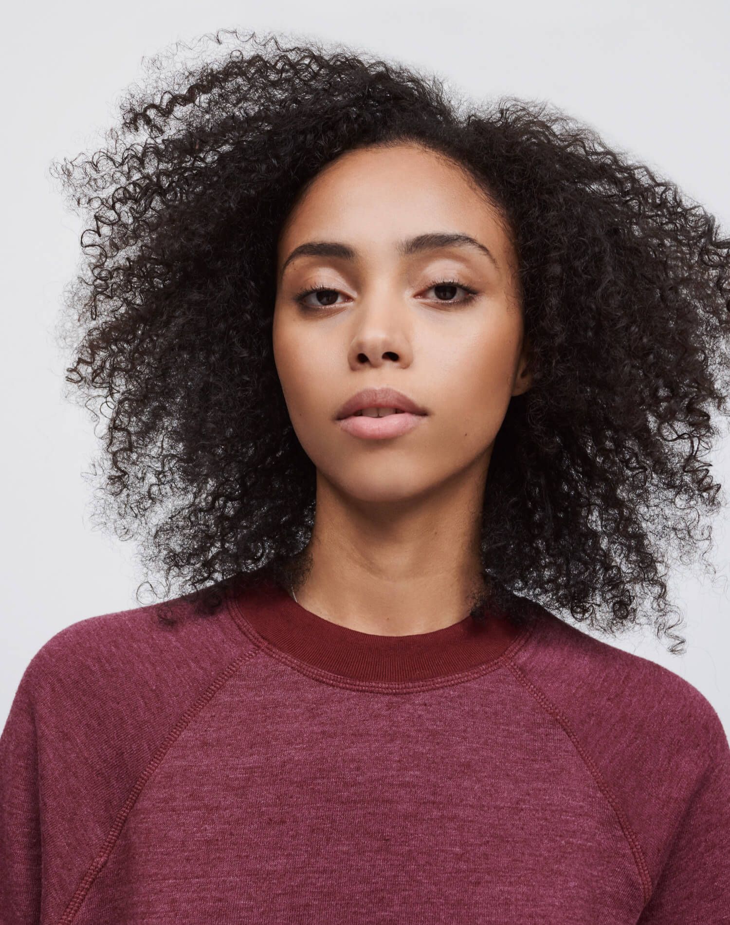 Classic Raglan Crewneck - Heathered Wine sold by Re/Done product image thumbnail 3