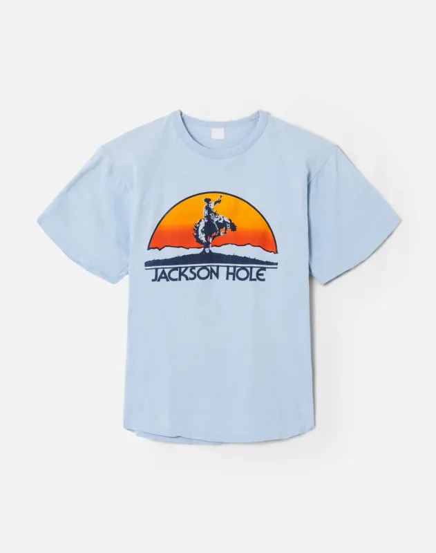 70s Jackson Hole Tee -#36 sold by Re/Done