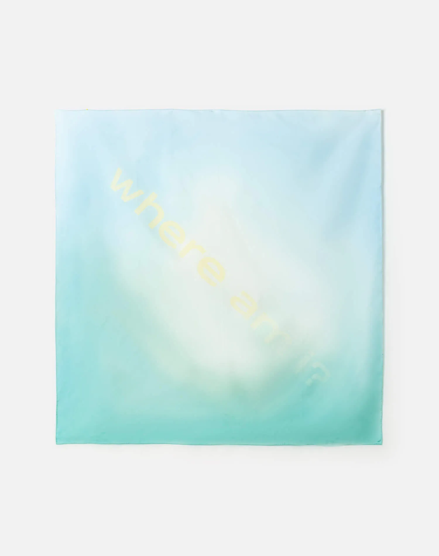 Silk Scarf - Green sold by Re/Done