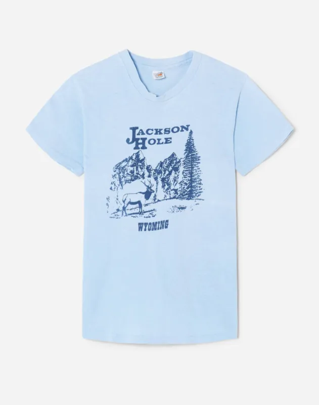 70s Hanes Jackson Hole Tee -#36 sold by Re/Done