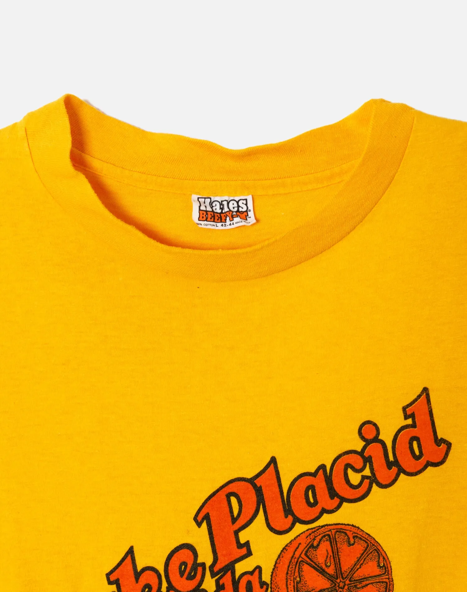 70s Hanes Lake Placid Tee sold by Re/Done product image thumbnail 3