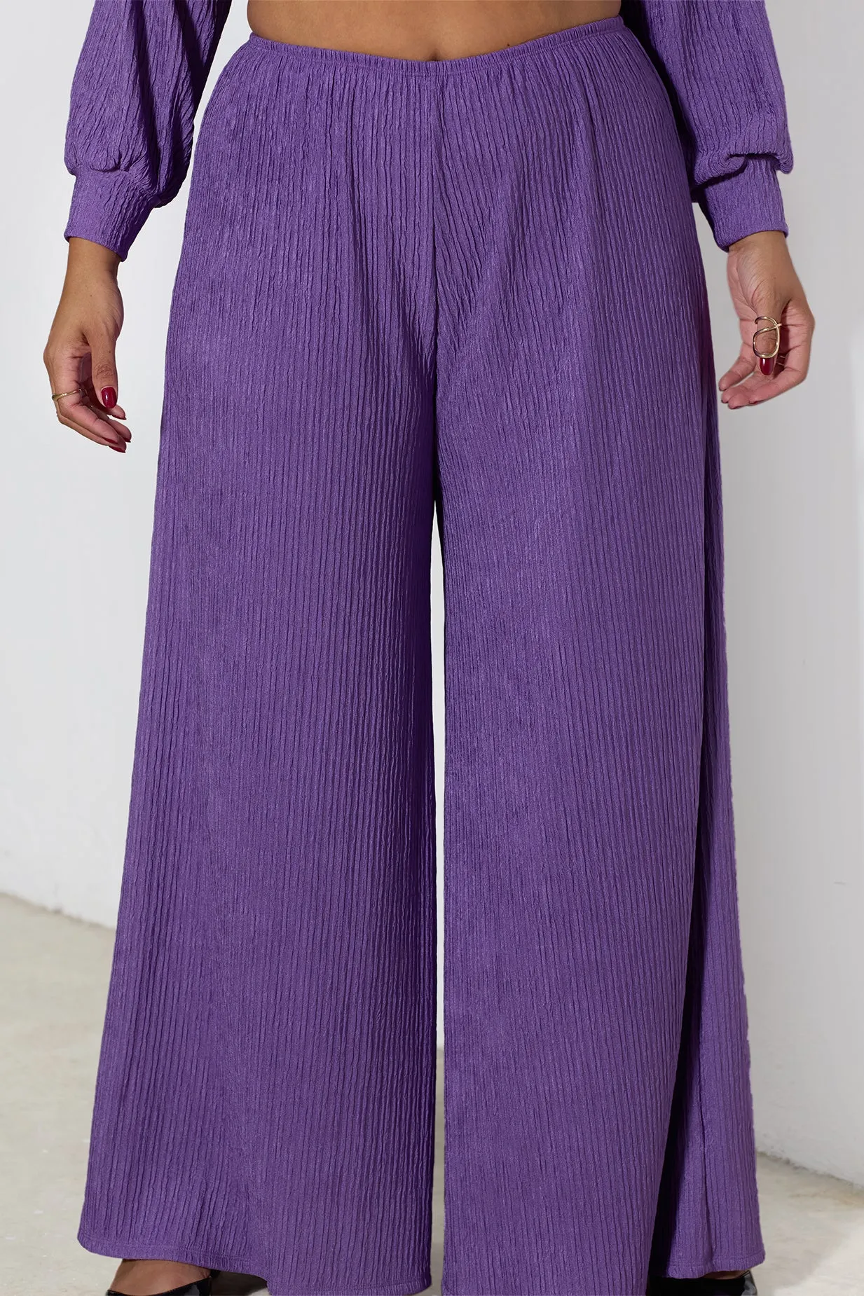 Nicole Textured Wide Leg Pants sold by Rebdolls product image thumbnail 4