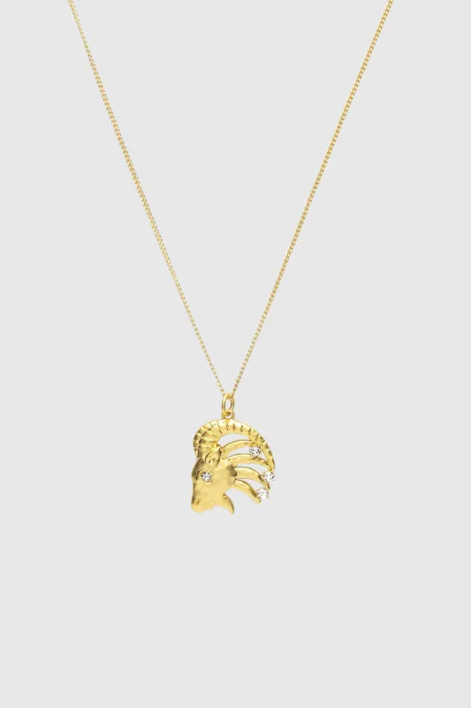 Capricorn Zodiac Medallion Necklace sold by Rebecca Minkoff