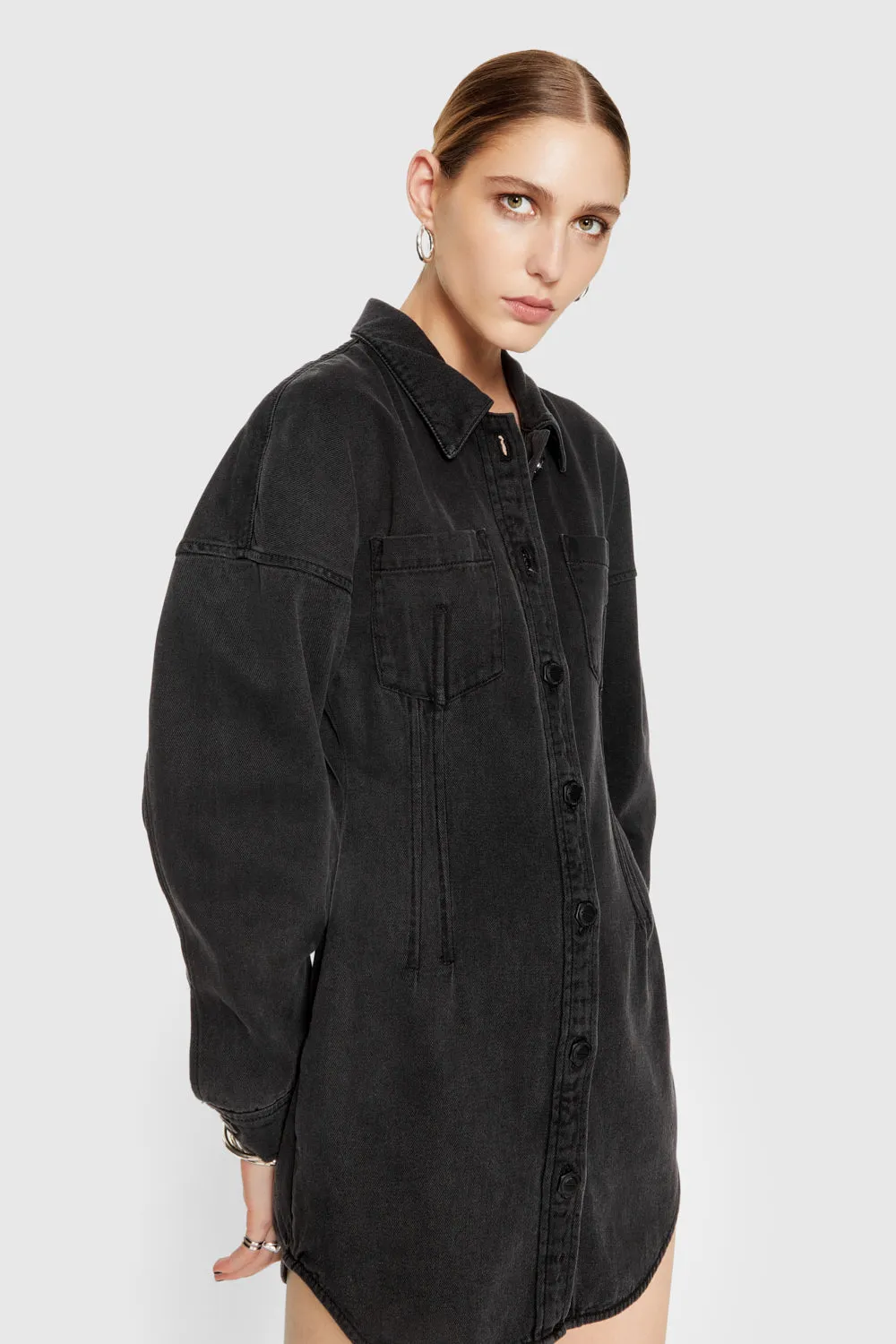 Florence Denim Dress sold by Rebecca Minkoff product image thumbnail 2