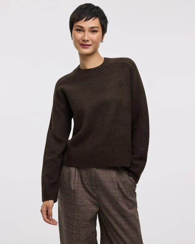 Long-Sleeve Crew-Neck PlushSoft Pullover sold by Reitmans