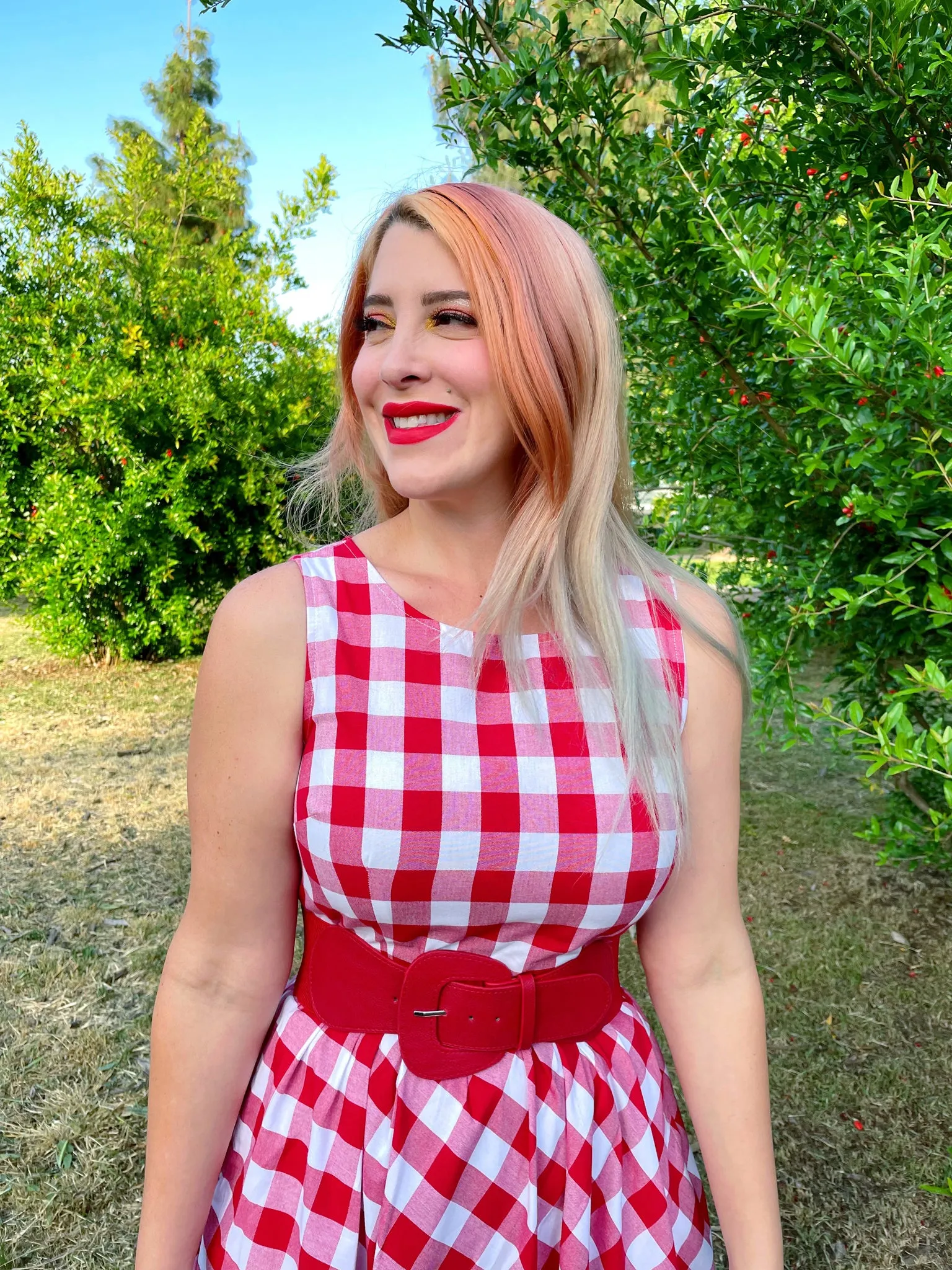 4873 Gingham Midi Dress sold by Retrolicious product image thumbnail 3