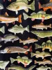 Fish A-line Skirt sold by Retrolicious