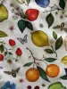 Fruits & Butterflies Bow Top - Plus Sizes only sold by Retrolicious