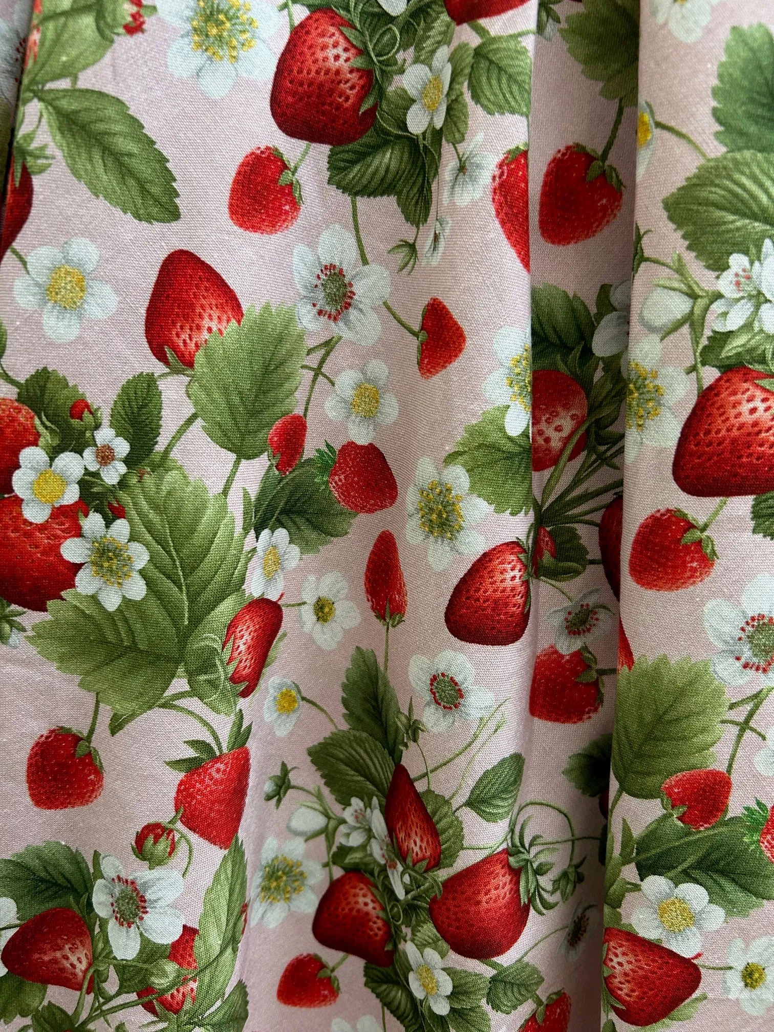 Elizabeth Dress in Strawberries - Medium only, 1 left! sold by Retrolicious product image thumbnail 3