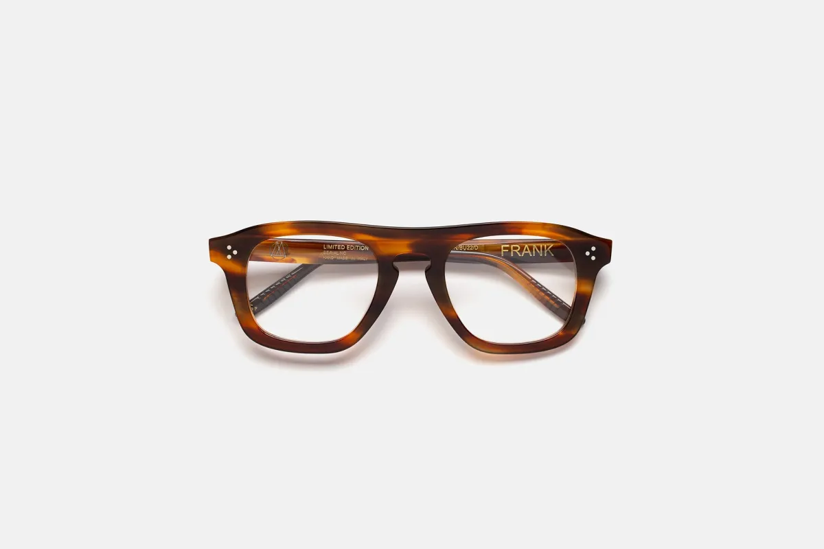 Frank Antique Tortoise made by RetroSuperFuture