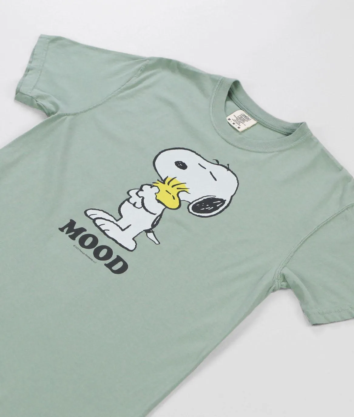 Peanuts Snoopy and Woodstock Mood Boyfriend Tee sold by riot society product image thumbnail 2