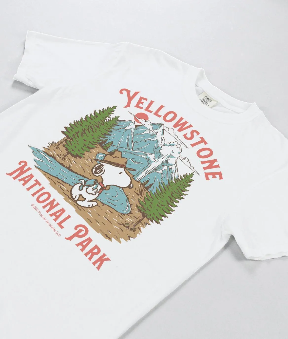 Peanuts Snoopy Yellowstone National Park Boyfriend Tee sold by riot society product image thumbnail 2